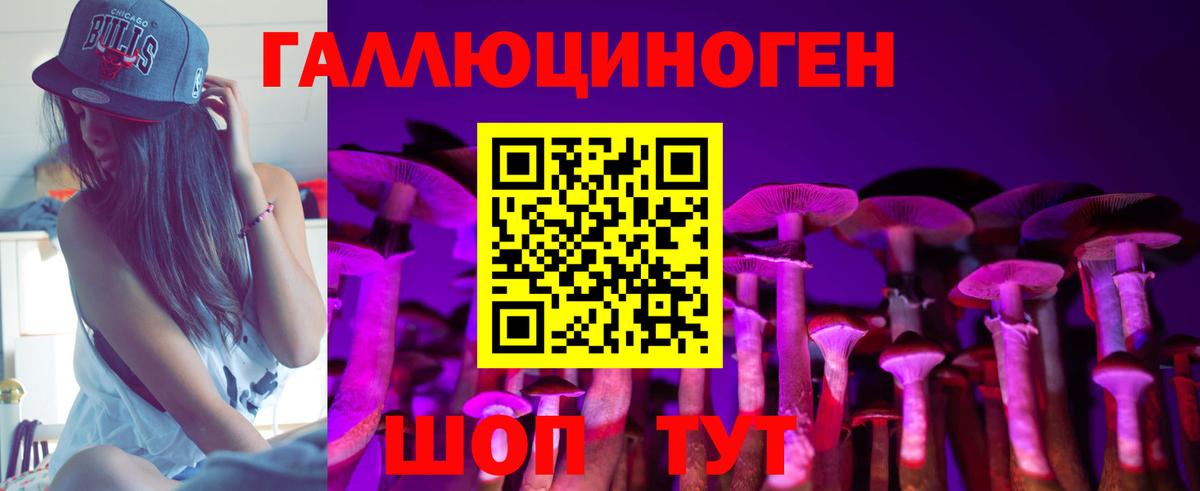 Майкоп  Галлюциногенные грибы мицелий  Вход с VPN 