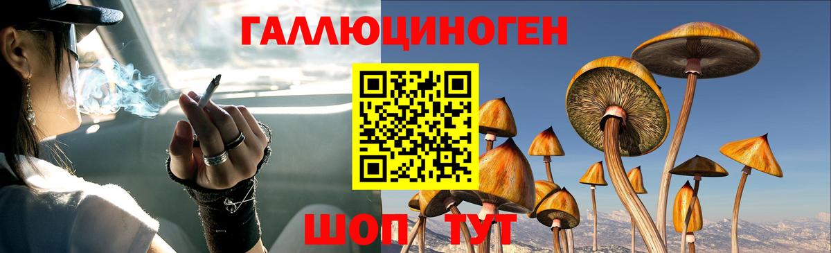Галлюциногенные грибы MAGIC MUSHROOMS Майкоп